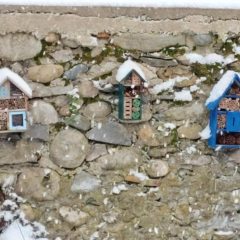 Les Copains d'Abord - Maison 2 Chambres - 13