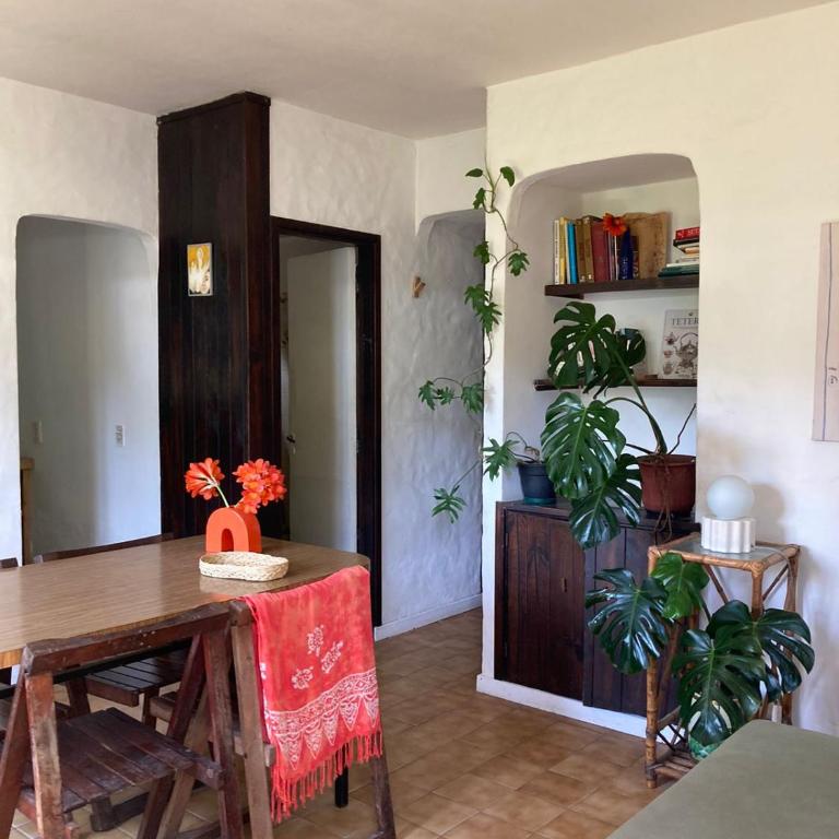 Albatros - One-Bedroom Apartment - 1