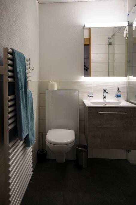 Moderne 2-Zimmer-Wohnung in Albinen mit Aussicht - Apartment mit 1 Schlafzimmer - 6