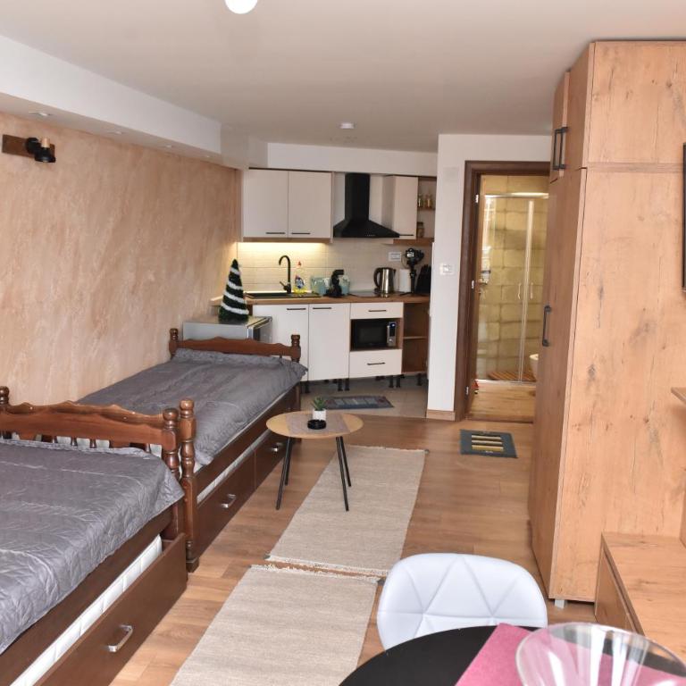 Start Apartments LUX KOPAONIK - Standardni Trokrevetni Studio - 6