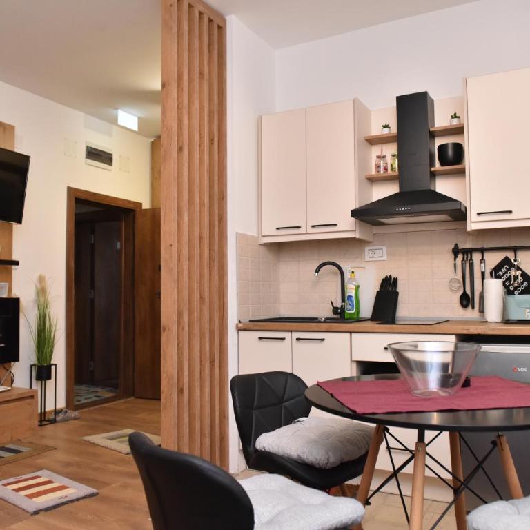 Start Apartments LUX KOPAONIK - Apartman - 4