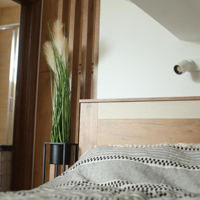 Start Apartments LUX KOPAONIK - Standardni Studio - 3