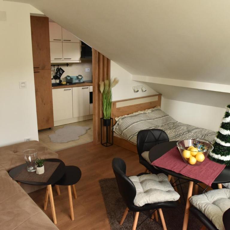Start Apartments LUX KOPAONIK - Standardni Studio - 6