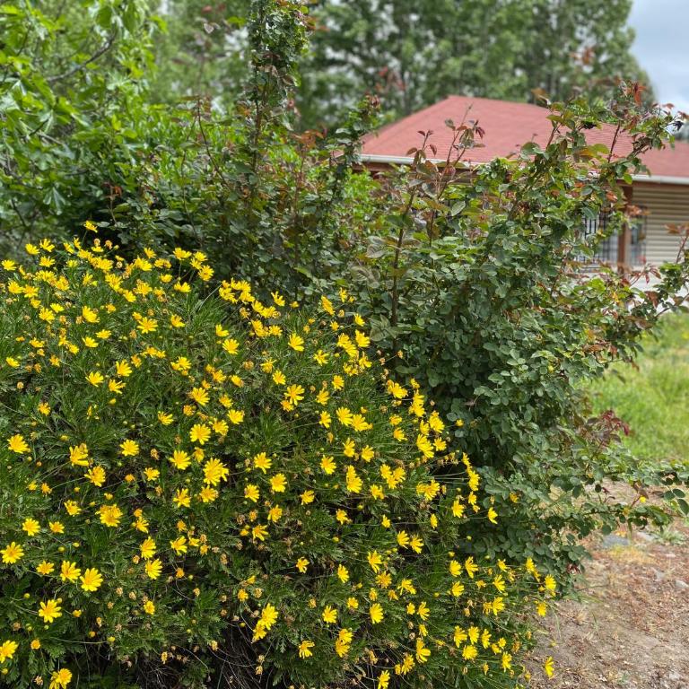 Casa en entorno natural - Two-Bedroom House - 35