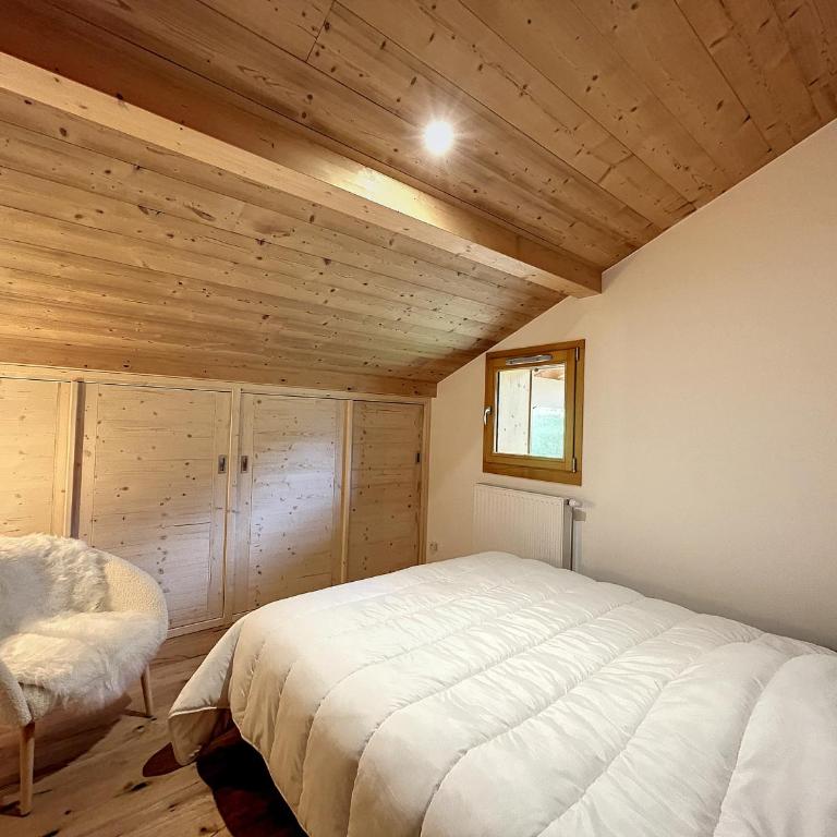 Appartement neuf avec vue Mont Blanc, parking et wifi à Combloux - Appartement 3 Chambres - 7