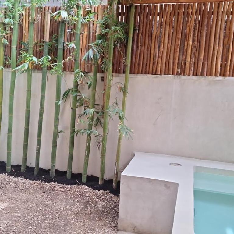 Paraiso Aldea Zama Tulum - Apartamento de 1 dormitorio - 2