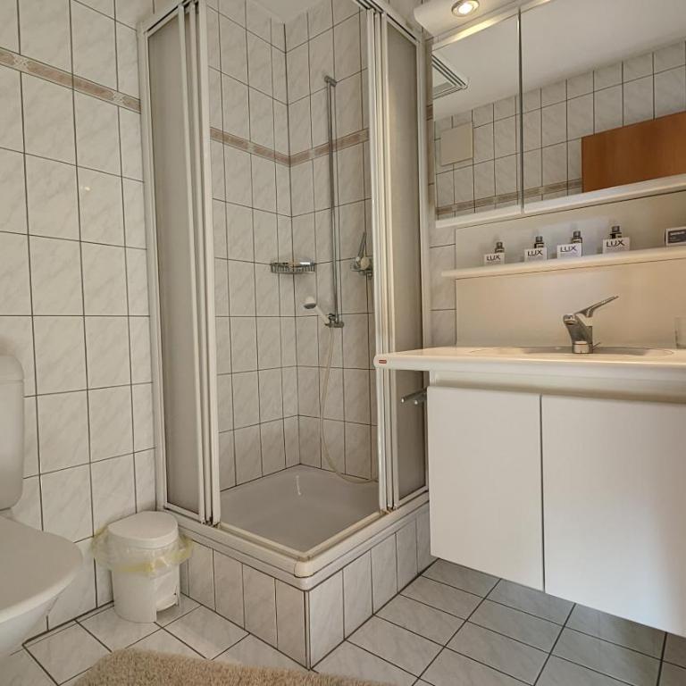 Imhof Alpine B&B Apartments - Superior Studio - 6