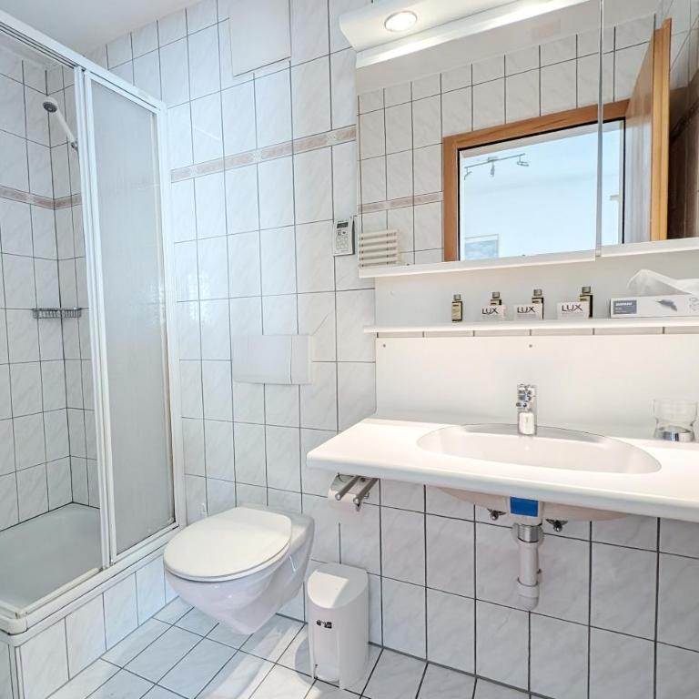 Imhof Alpine B&B Apartments - Studio mit Schlafsofa - 5
