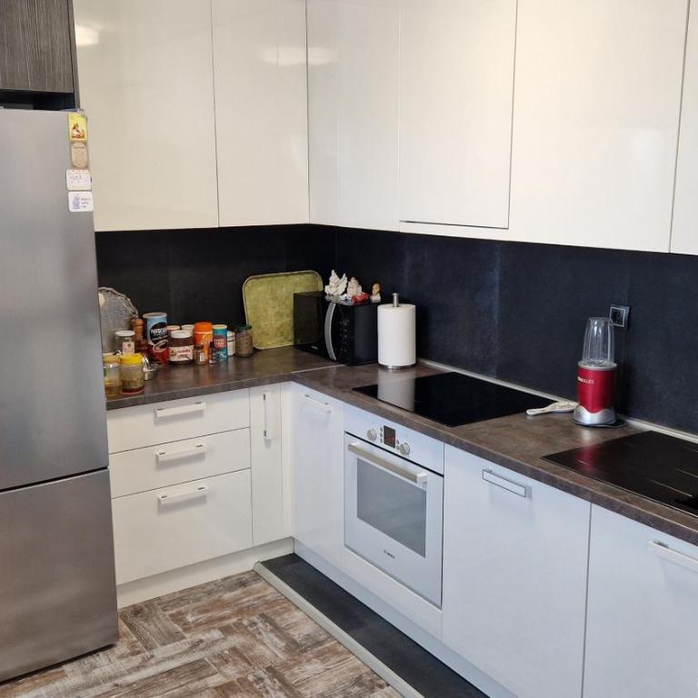 Luxury Apartment in Nis - Apartman sa 2 Spavaće Sobe - 5