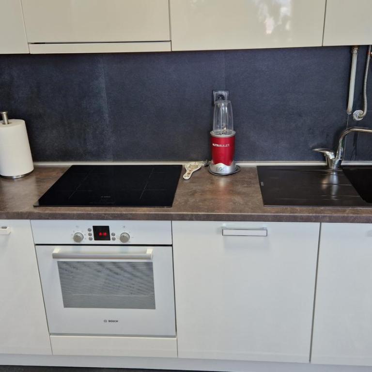 Luxury Apartment in Nis - Apartman sa 2 Spavaće Sobe - 6