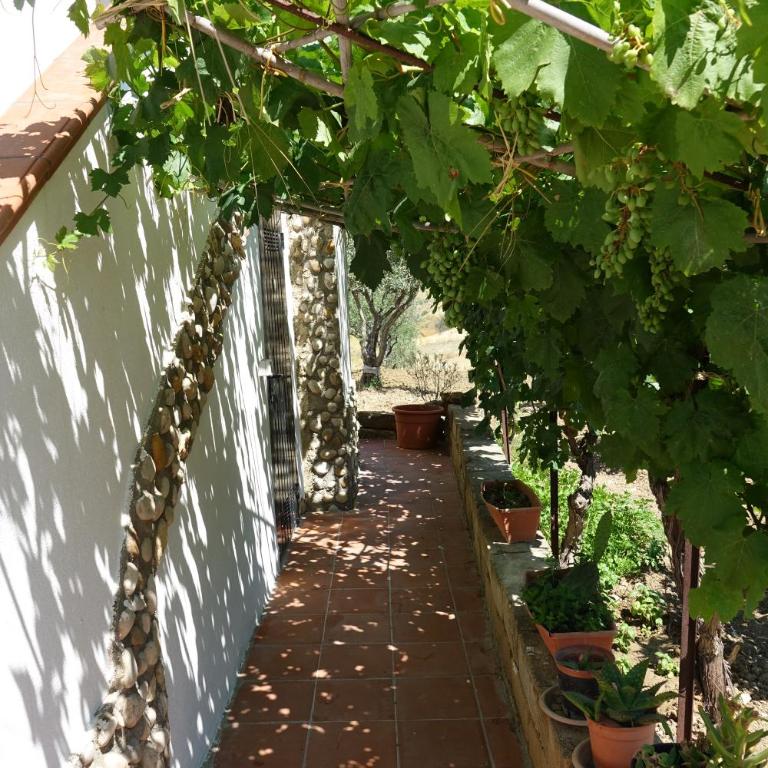 Villa NERO BIANCO, Havre de paix, oliviers, maison et piscine privées - Villa con 2 Camere da Letto - 21