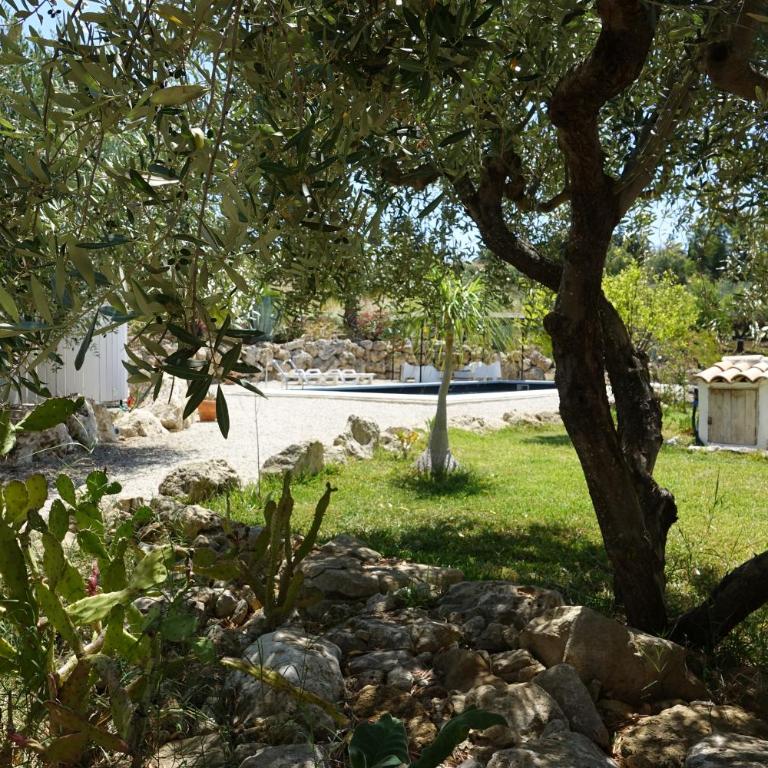 Villa NERO BIANCO, Havre de paix, oliviers, maison et piscine privées - Villa con 2 Camere da Letto - 22