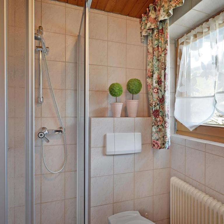 Haus Elisabeth Sporer - Appartamento con 2 Camere da Letto e con Doccia - 6