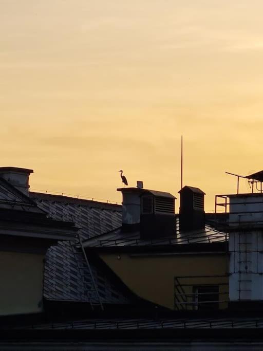 Saapartman - Apartman sa 1 Spavaćom Sobom - 7