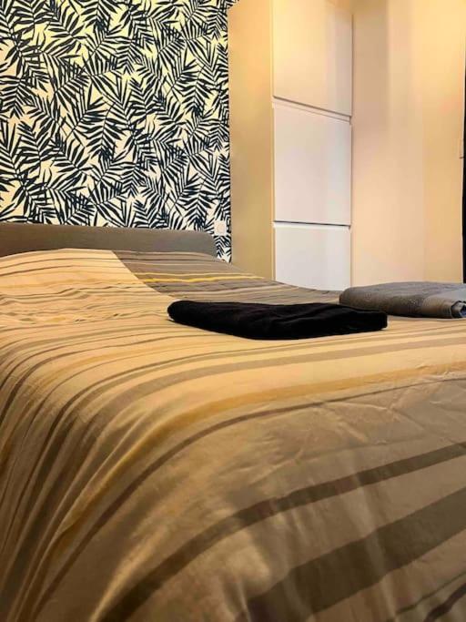 T1 - Appartement 1 Chambre - 6