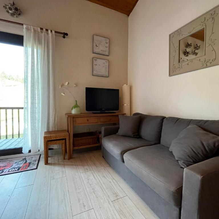 Appartement T2 Duplex sur piste pour 6 pers avec box à skis au Super-Sauze - Appartement 1 Chambre - 3