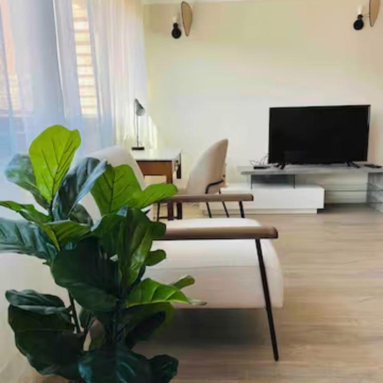 Appartement 50m du centre historique - Two-Bedroom Apartment - 10