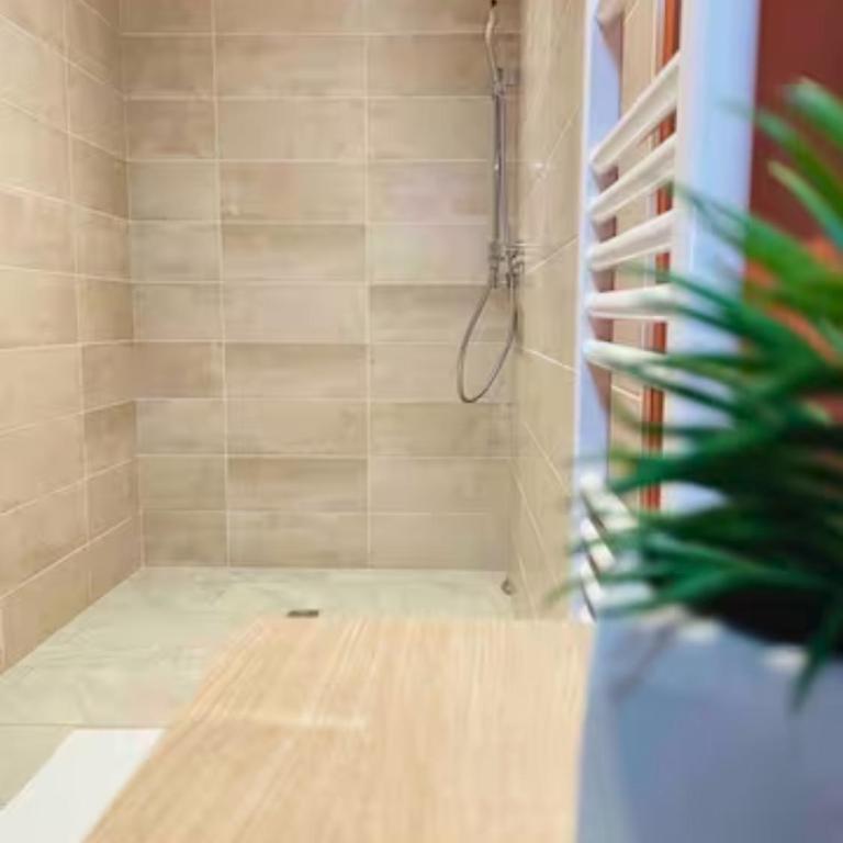 Appartement 50m du centre historique - Two-Bedroom Apartment - 14