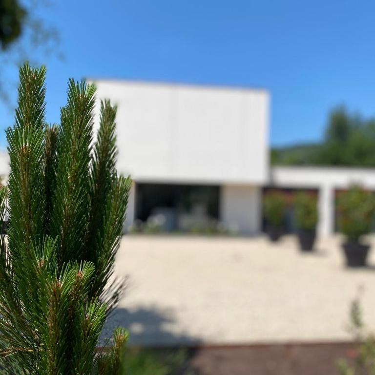 La Villa Blanche - Villa - 63