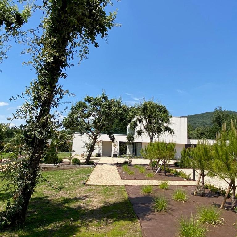 La Villa Blanche - Villa - 66