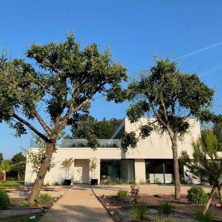 La Villa Blanche - Villa - 70