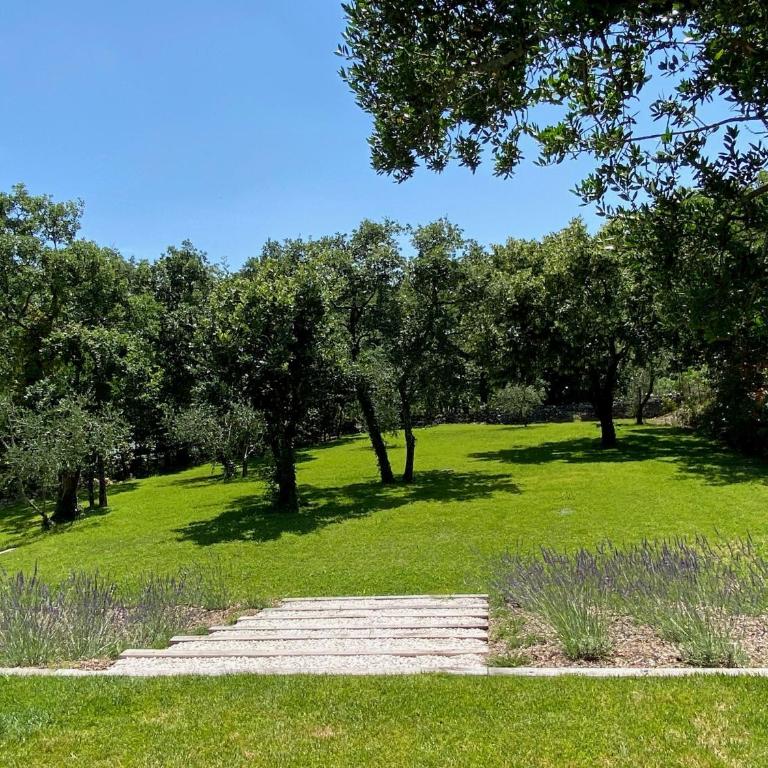 La Villa Blanche - Villa - 81
