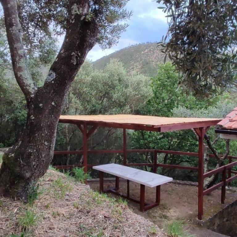 La Tana del Berü - Casa con 1 Camera da Letto - 9