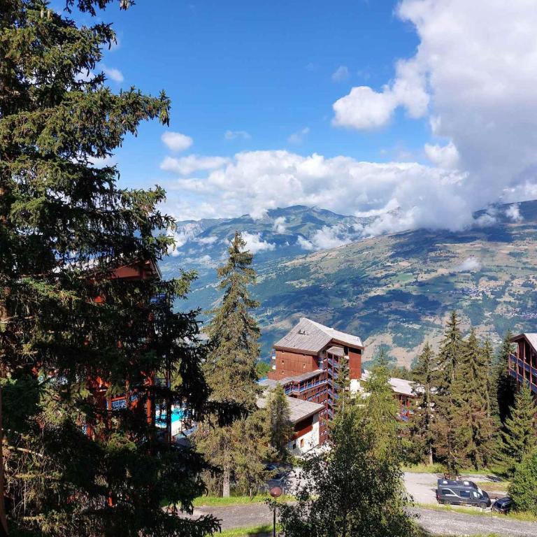 Duplex 2 pièces pour 5 pers. aux Arcs 1800, balcon et Wifi - FR-1-411-47 - Appartement (5 Adultes) - 9