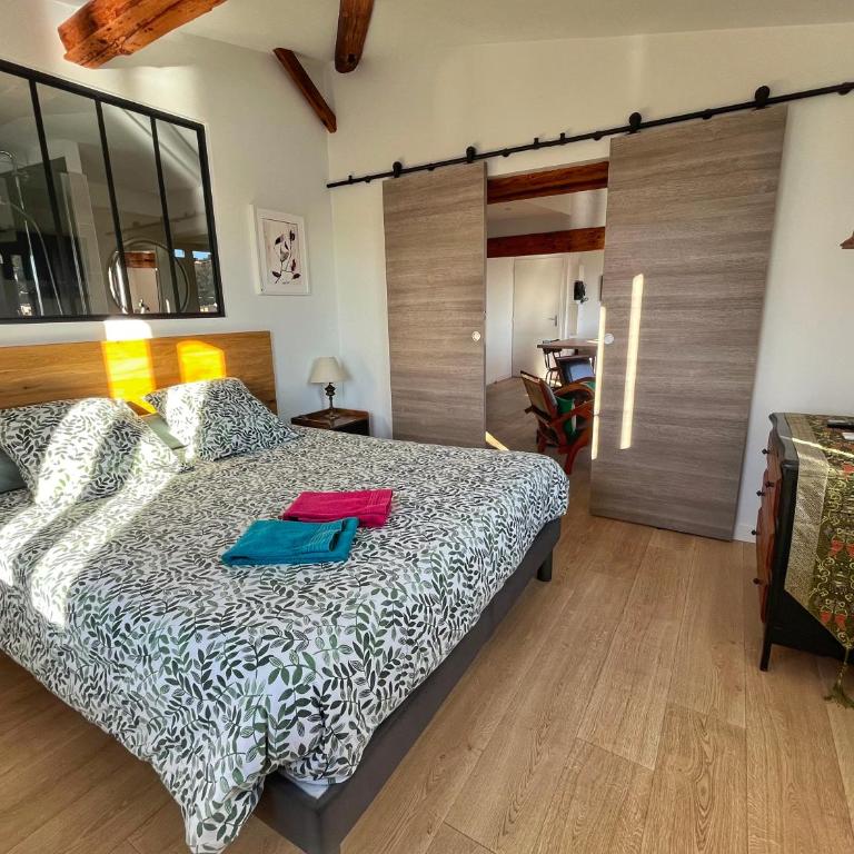 La Bâtie - Jacuzzi - Vue - Amazing view - Parking privé - Penthouse - 13