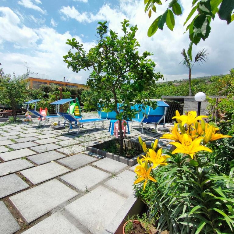 Il Limoneto di Leo - Casa Vacanze - 18