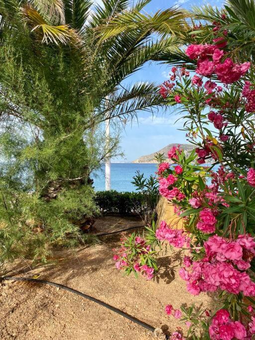 Appartement Casita de Ermita Old Town Calpe - Two-Bedroom Apartment - 48