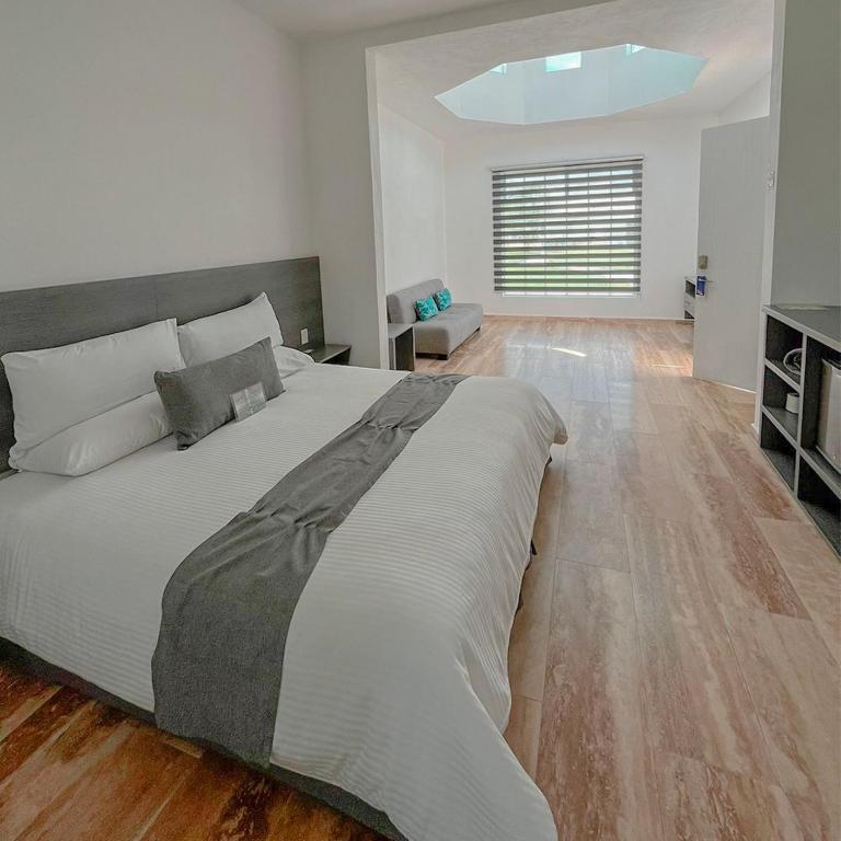 Vita Grand San Miguel de Allende - Suite de 1 dormitorio - 3