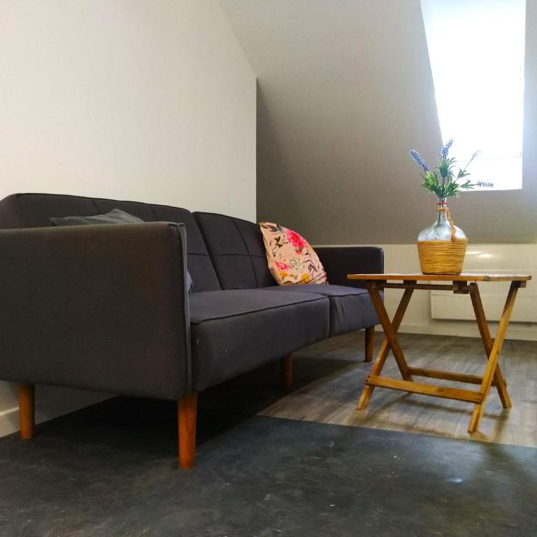 Le Cours Foucault N6 I Le Mansardé - Apartamento de 1 dormitorio - 1
