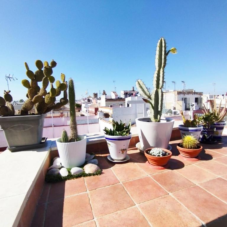 Casa Gavidia - Duplex with Panoramic view - Apartment - 31