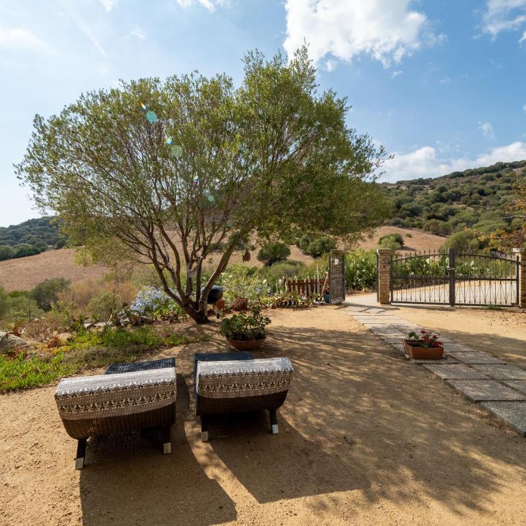 Ollastu Apartments Villasimius - Apartment with Sea View - 9