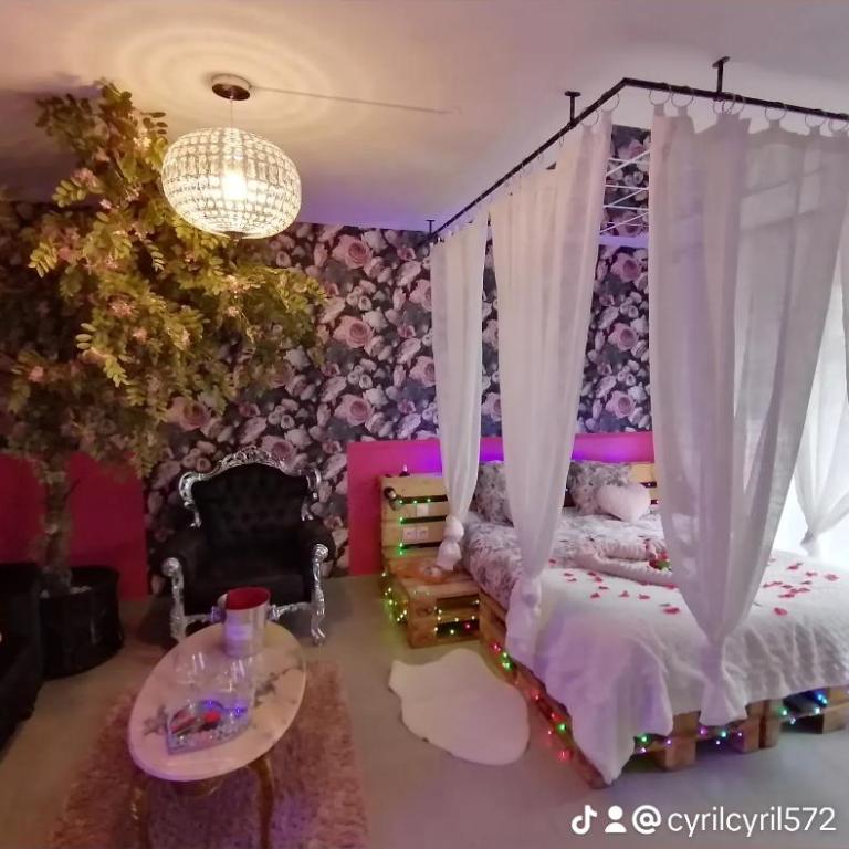Romantisme et glamour 2 avec spa , clim et jardin - Appartamento con 1 Camera da Letto - 25