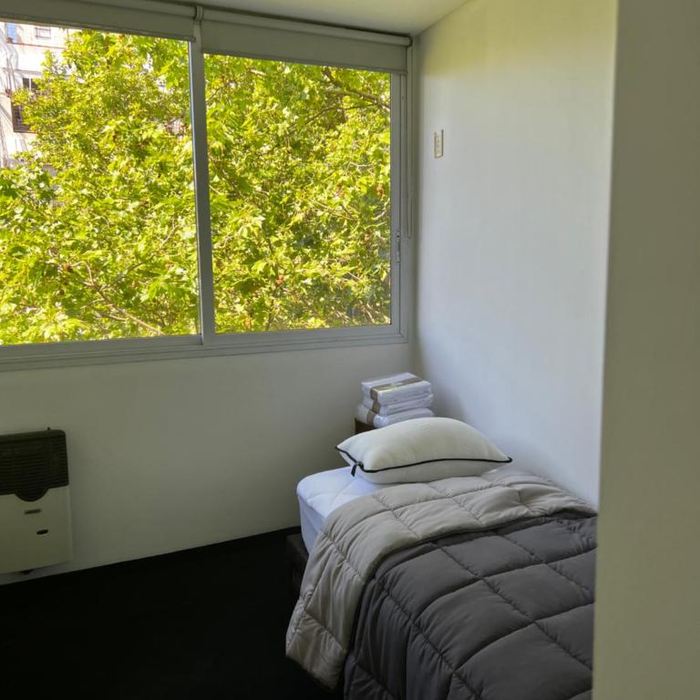 Departamento Entero con Terraza y Parrilla 3 ambientes - Apartamento de 2 dormitorios - 13