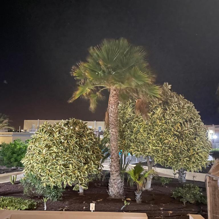 Castillo Holiday Home - Two-Bedroom House - 12