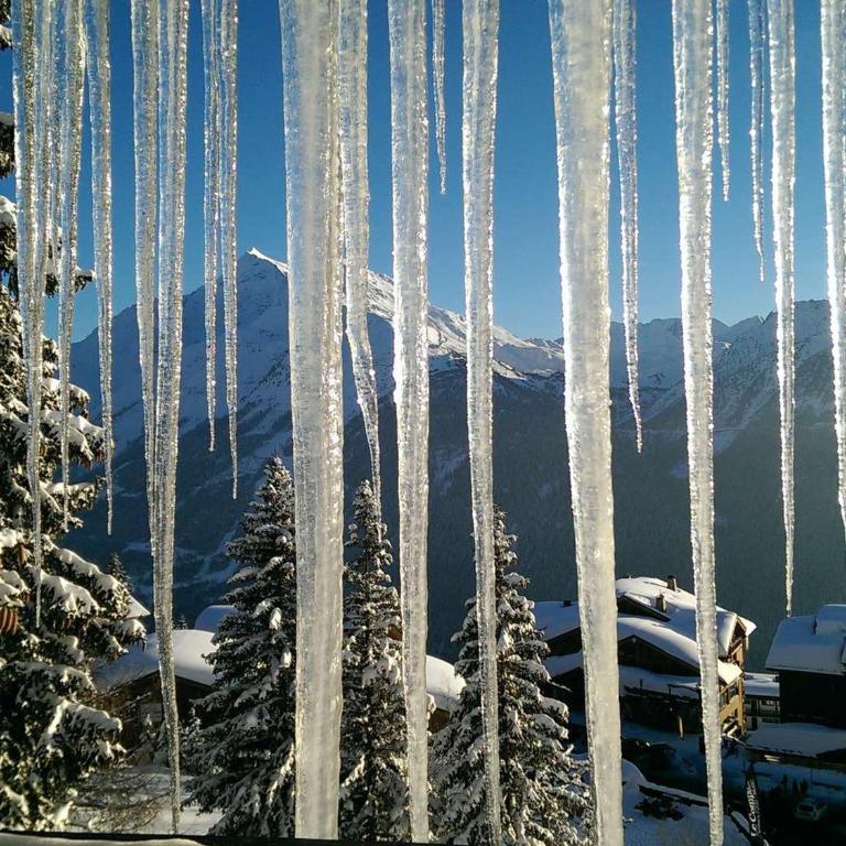 Studio fonctionnel, départ skis aux pieds, terrasse sud - Studio - 2