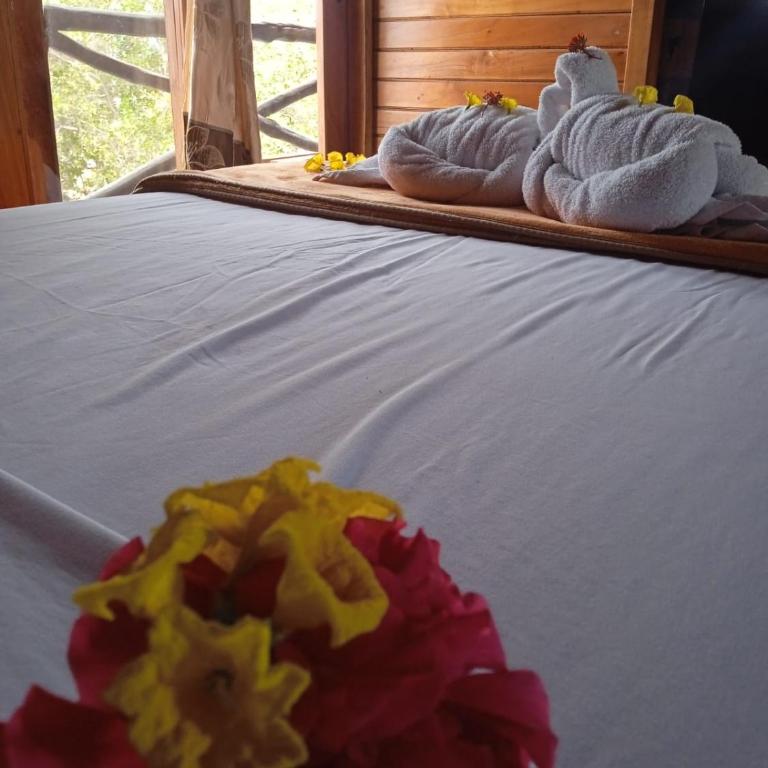 El Pajas - Twin Room with Balcony - 5