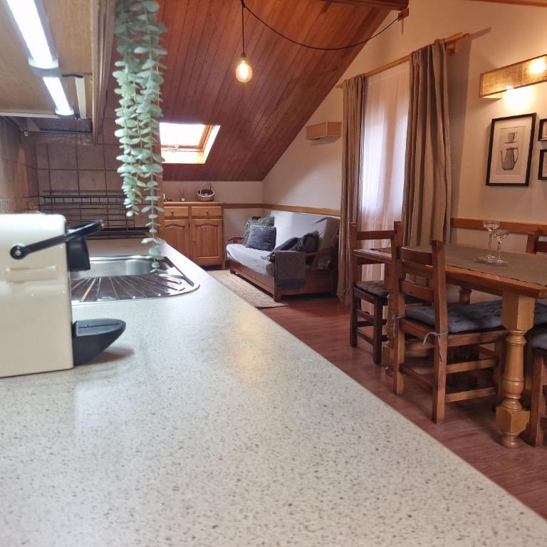 La Buhardilla de Gavin - Appartement avec Vue sur la Montagne - 25
