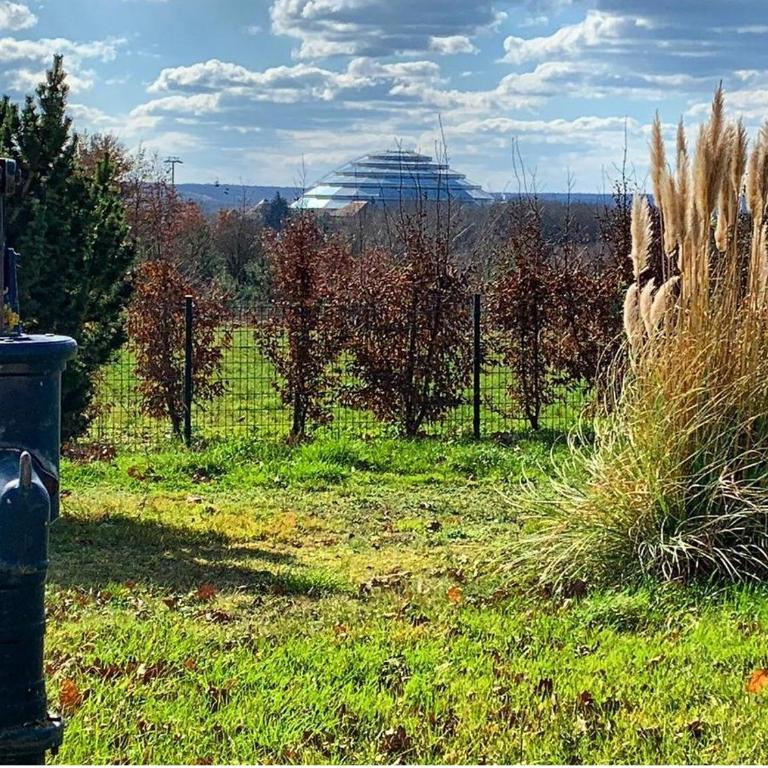 Le Panorama sur Beauval, face au Zoo de Beauval - Haus mit 4 Schlafzimmern - 2