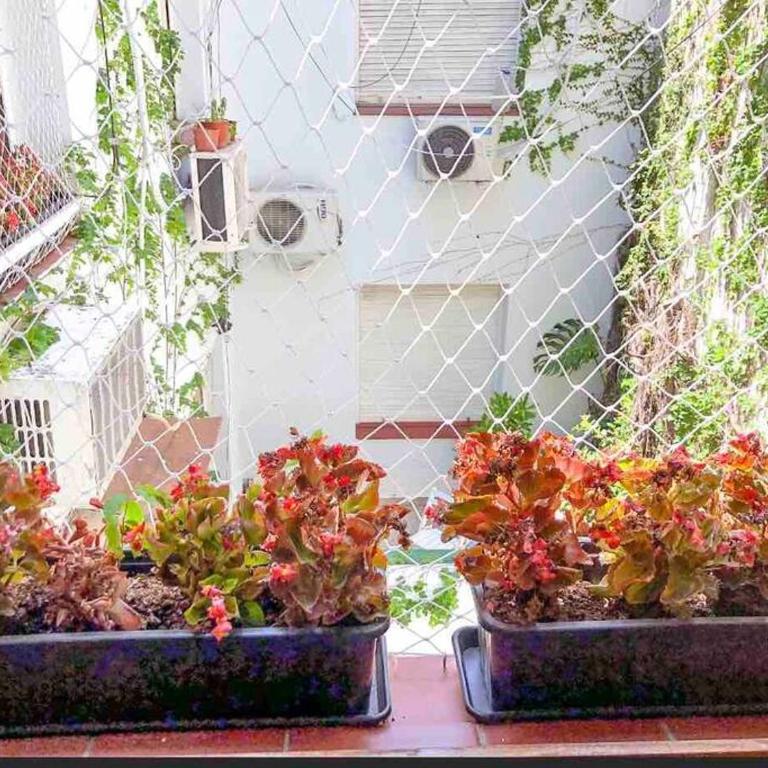 Calido departamento en Palermo Soho - Apartamento de 1 dormitorio - 4