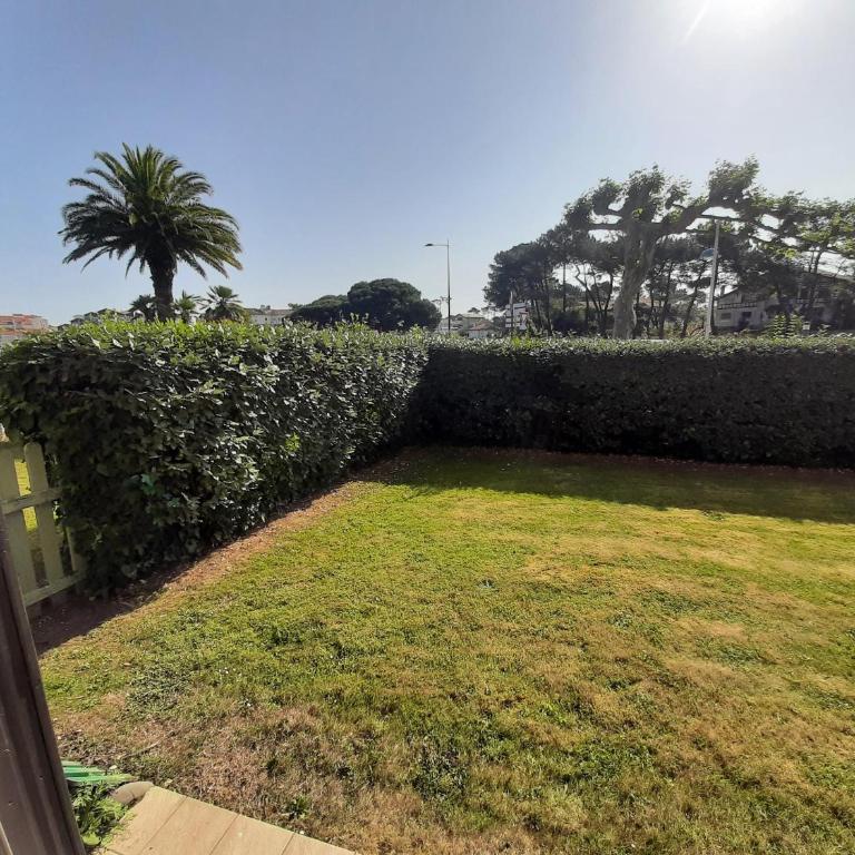 Appartement cozy à Capbreton, 4 couchages, proche port et plage - FR-1-239-987 - Appartement 1 Chambre - 2