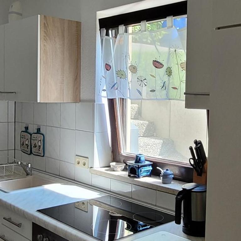 Ferienwohnung Sonnenschein - Apartment mit Terrasse - 9