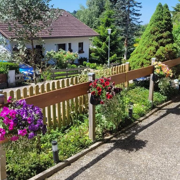 Ferienwohnung Sonnenschein - Apartment mit Terrasse - 2