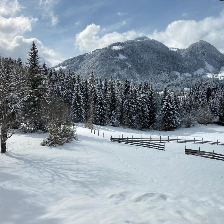 Ferienwohnung Remise am Reitl - Appartamento Deluxe - 22