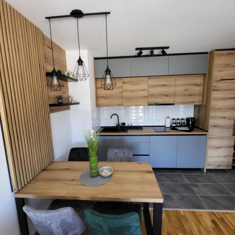 Apartman Adam Divčibare - Apartman sa 1 Spavaćom Sobom - 6