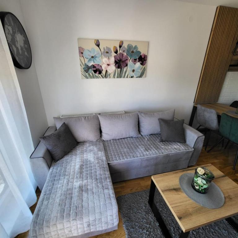 Apartman Adam Divčibare - Apartman sa 1 Spavaćom Sobom - 7