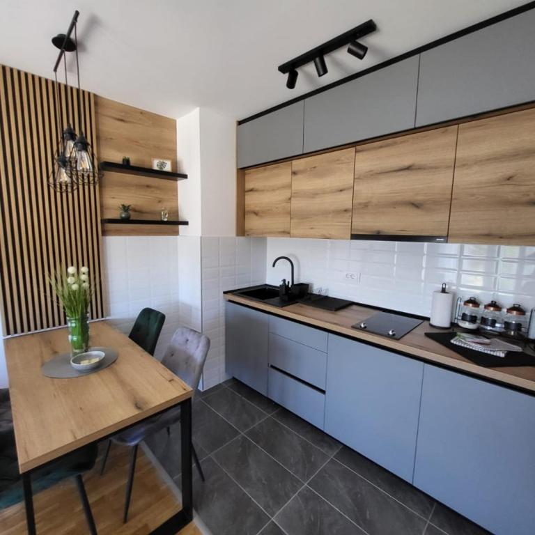 Apartman Adam Divčibare - Apartman sa 1 Spavaćom Sobom - 22